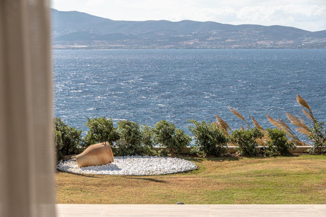 Dionysus House And Ariadne Apartment Stelida  Dış mekan fotoğraf